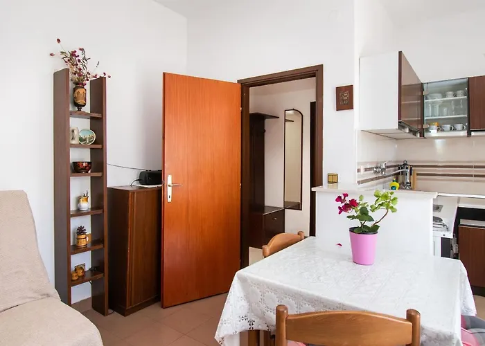 Cace ברודאריצה