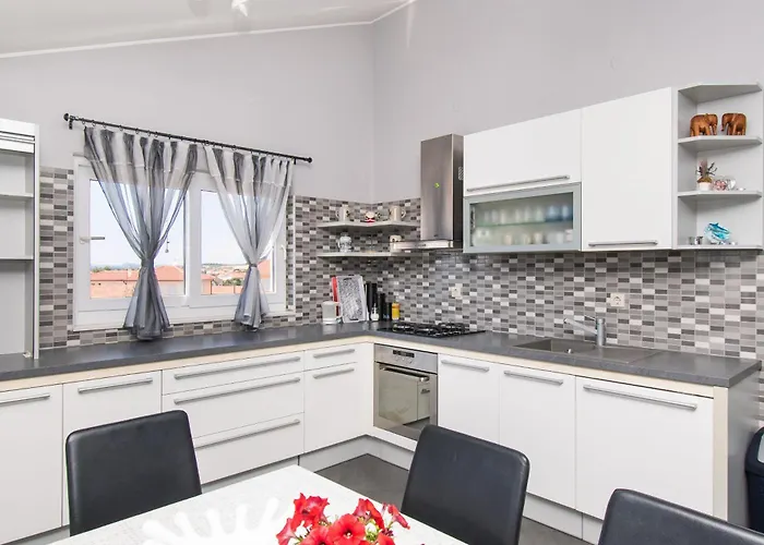 Cace * ברודאריצה